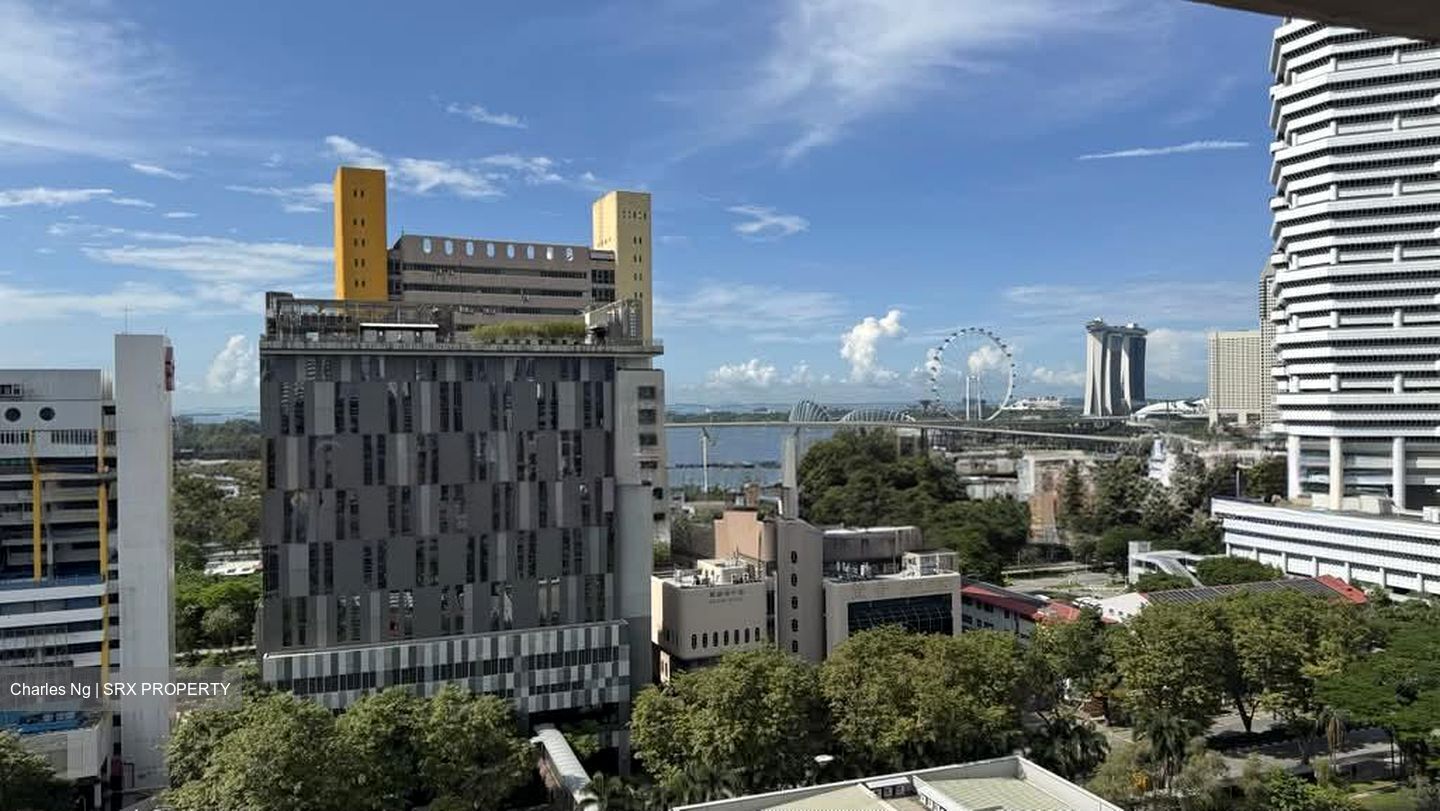 Blk 17 Golden Beach Vista (Kallang/Whampoa), HDB 4 Rooms #574001391